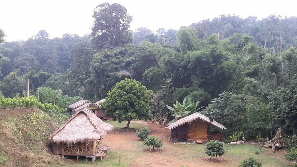Doo-Dao-Doi Farm & Stay Chiang Dao Exterior foto