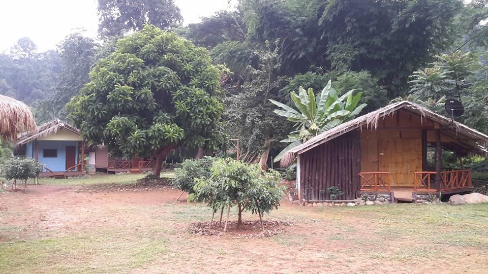 Doo-Dao-Doi Farm & Stay Chiang Dao Exterior foto