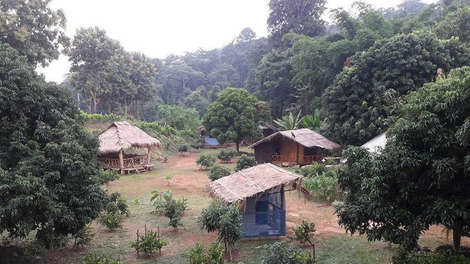 Doo-Dao-Doi Farm & Stay Chiang Dao Exterior foto